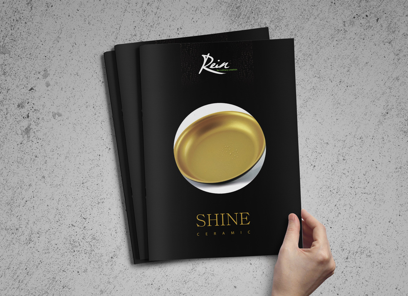 Rein-Shine-Brochure-01
